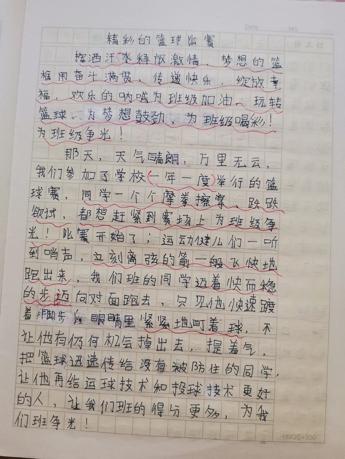 训练篮球的过程50字